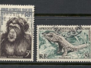 French West Africa 1955 Interneatinal Exhibition for Wildlife Protection