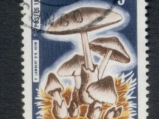 Congo-PR-1970 Funghi Mushrooms 5f