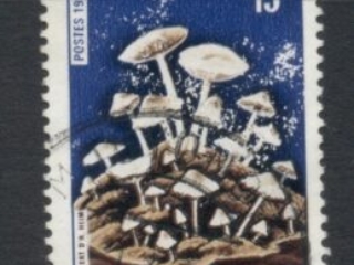 Congo-PR-1970 Funghi Mushrooms 15f