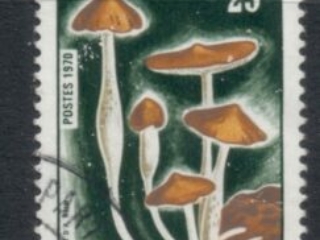 Congo-PR-1970 Funghi Mushrooms 25f