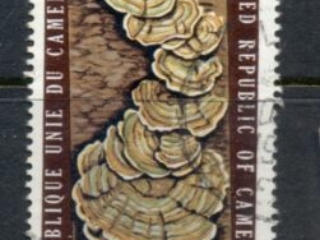 Cameroun 1975 Tree Fungus 15f