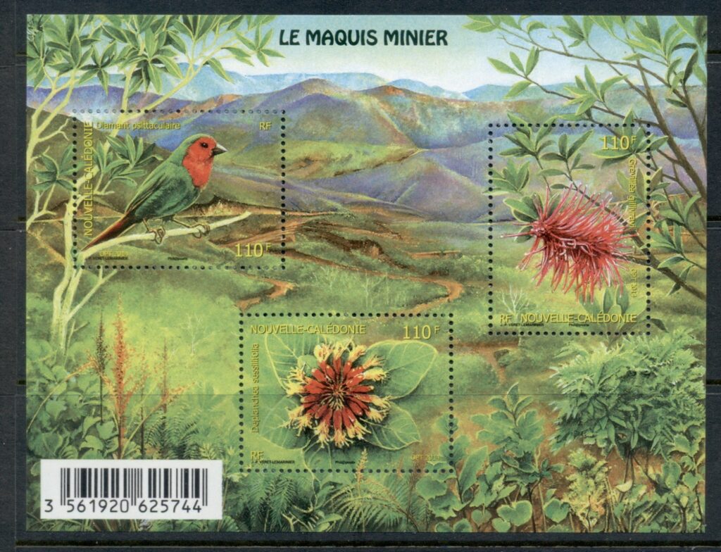 New Caledonia 2014 Flora &amp; Fauna of the Mining Scrubland MS
