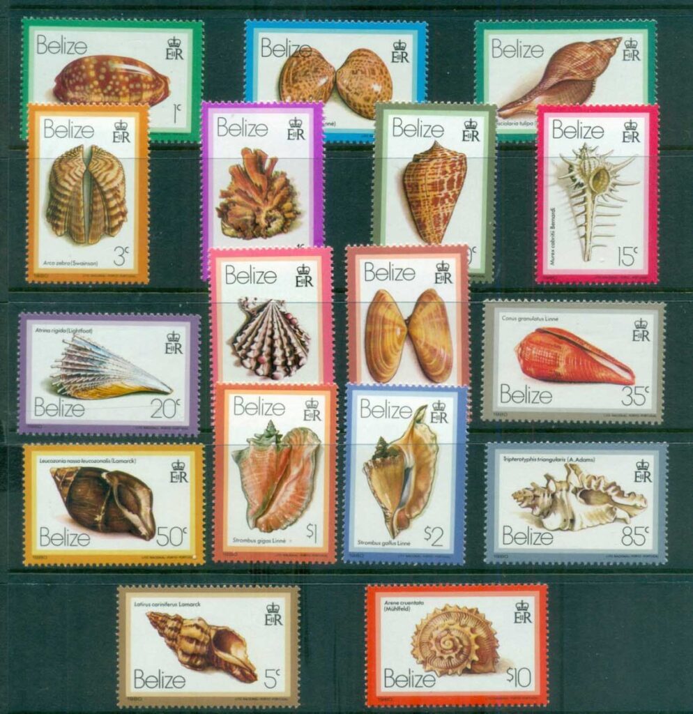 Belize-1980-Shells-MLH-lot80864