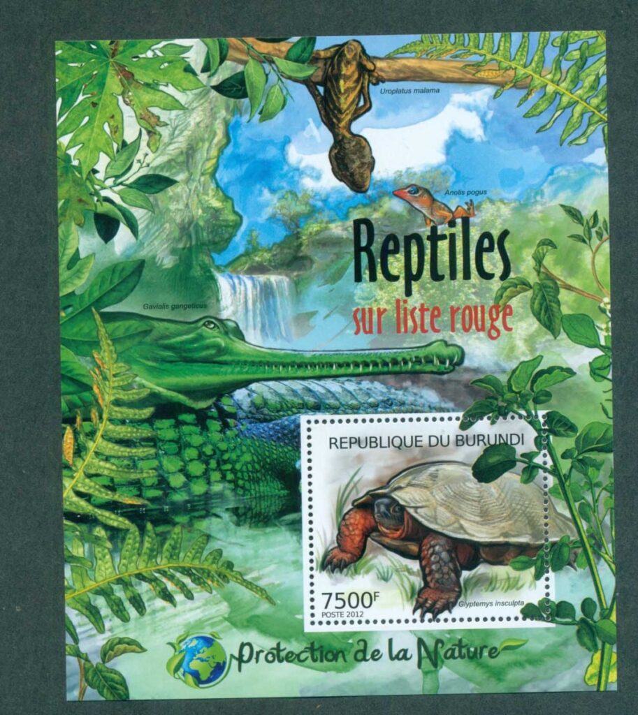 Burundi-2012-Reptiles