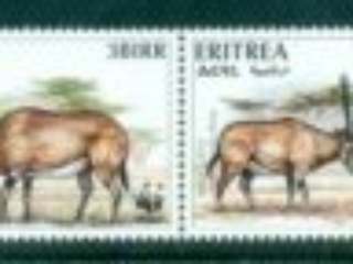 Eritrea 1996 WWF Beisa Oryx