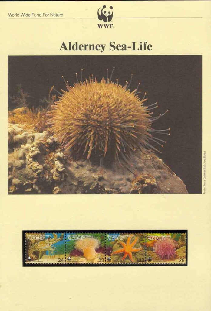 Alderney-1993 WWF Sealife Strip