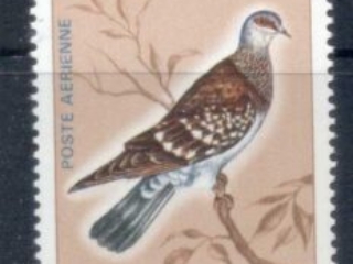 Afars-Issas-1975-Bird-500fr-MUH