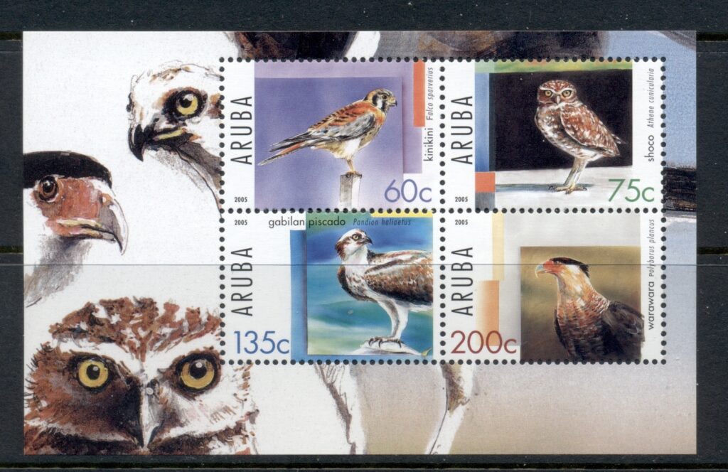 Aruba-2005-Birds-of-Prey-MS-MUH