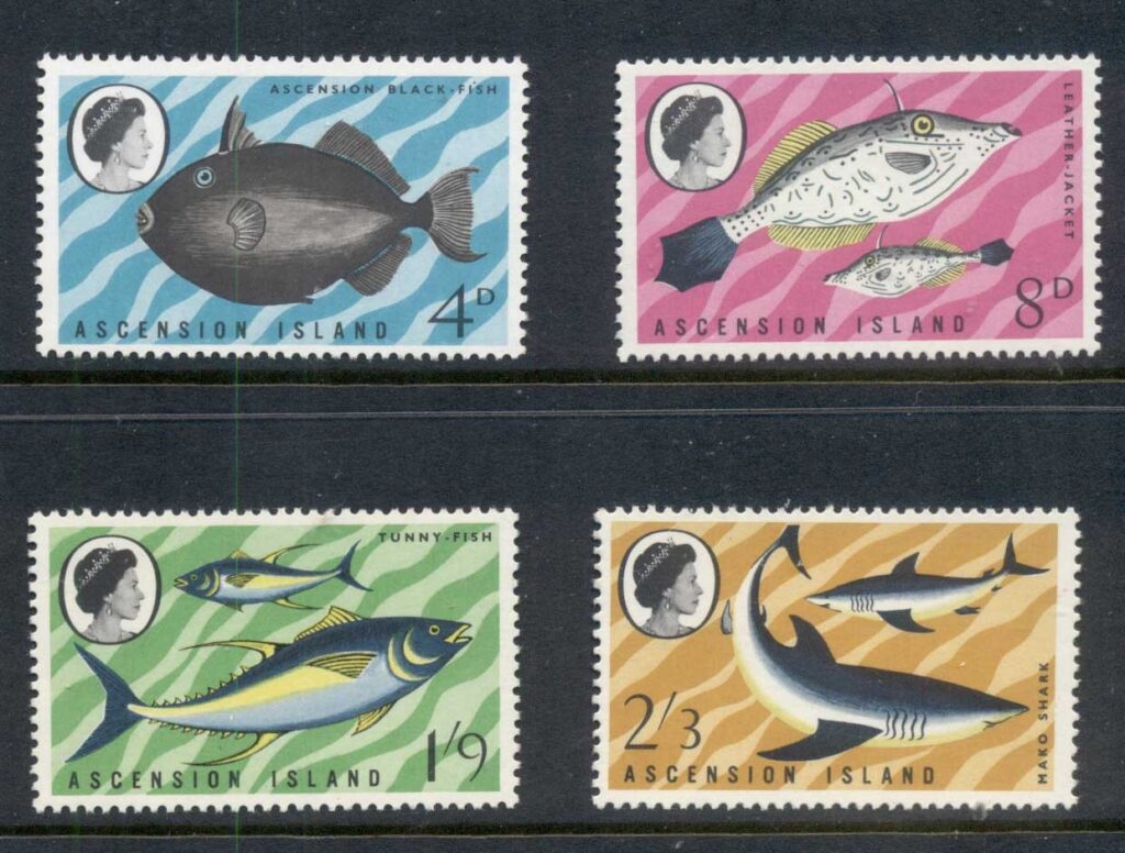 Ascension-Is-19H68-Marine-Life-Fish-4-MUH