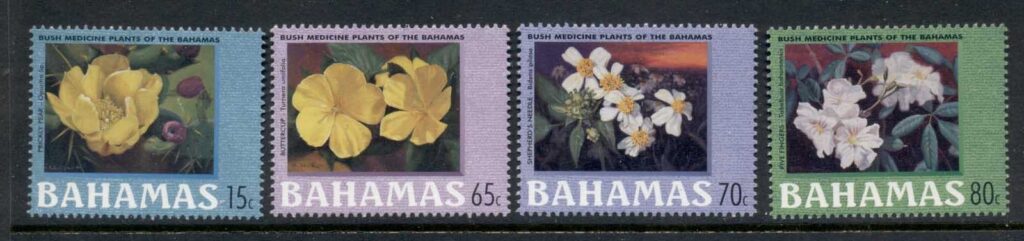 Bahamas-2000-Bush-Medicine-Plants