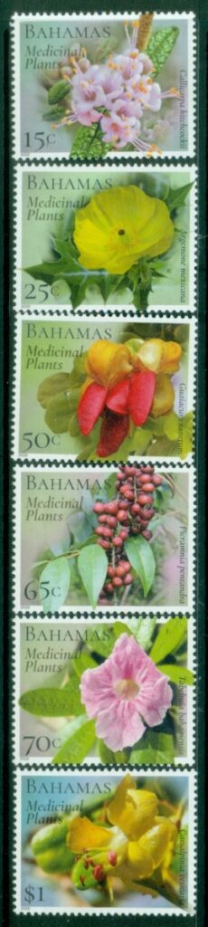 Bahamas-2020-Medicinal-Plants-MUH