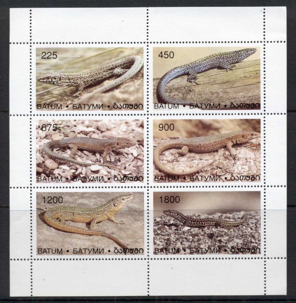 Batum-1999-Reptiles-MS-MUH