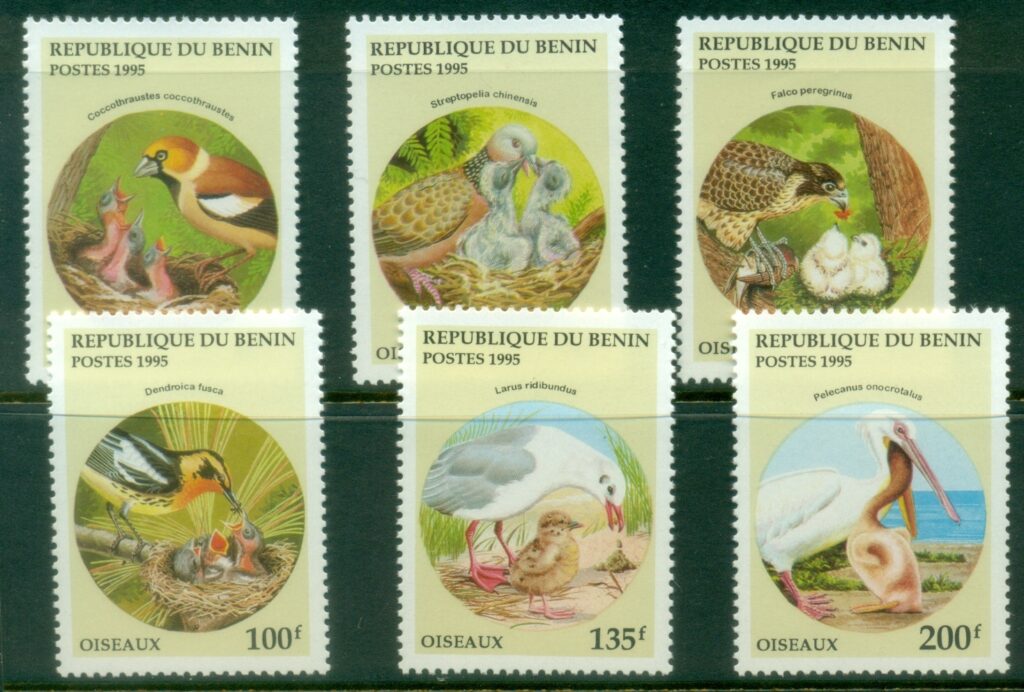 Benin-1995-Birds-feeding-their-chicks-MUH
