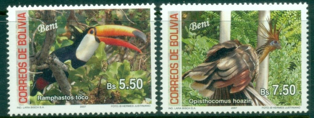 Bolivia-2007-Birds-of-Bolivia-Beni-MUH