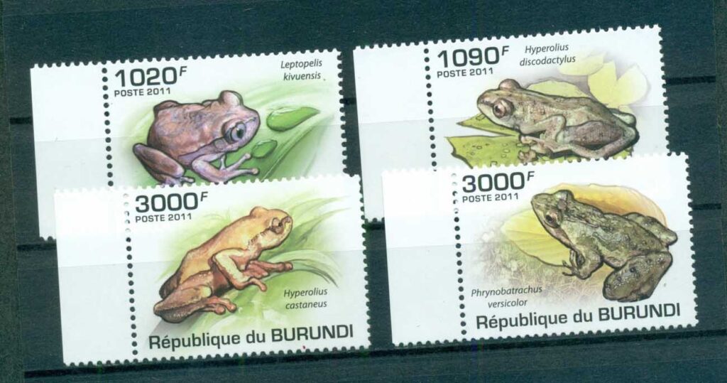 Burundi-2011-Reptiles