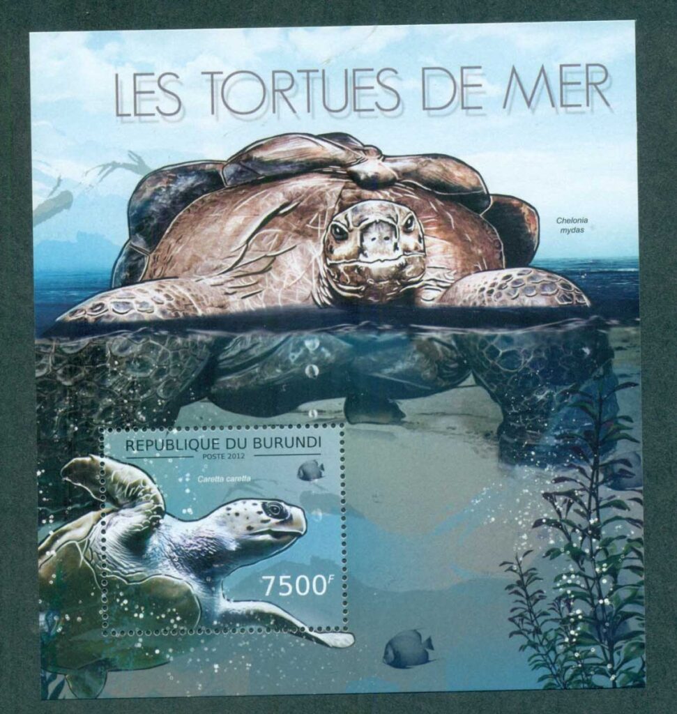 Burundi-2012-Reptiles