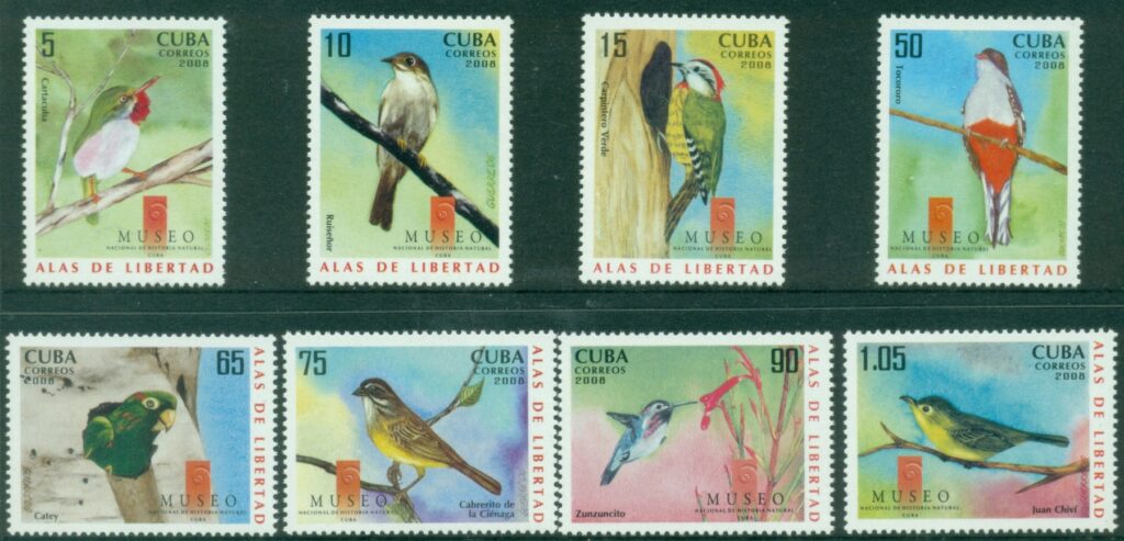 Caribbean-Is-2008-Birds-MUH