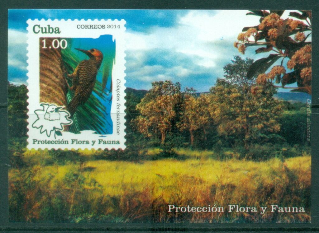 Caribbean-Is-2014-Protection-of-Flora-and-Fauna-Birds-MS-MUH