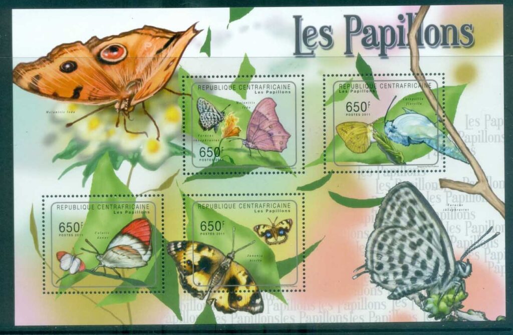 Central-African-Republic-2011-Insects_5