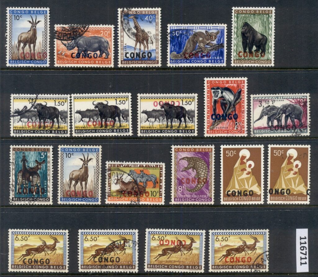 Congo-1960-Wildlife-Ots-Asst-inc-jpg-Inverts-FU-MUH.jpg