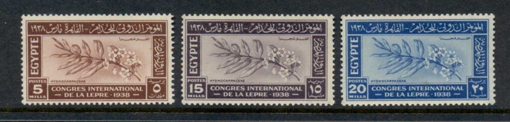 Egypt-1938-Leprosy-Congress-MUH