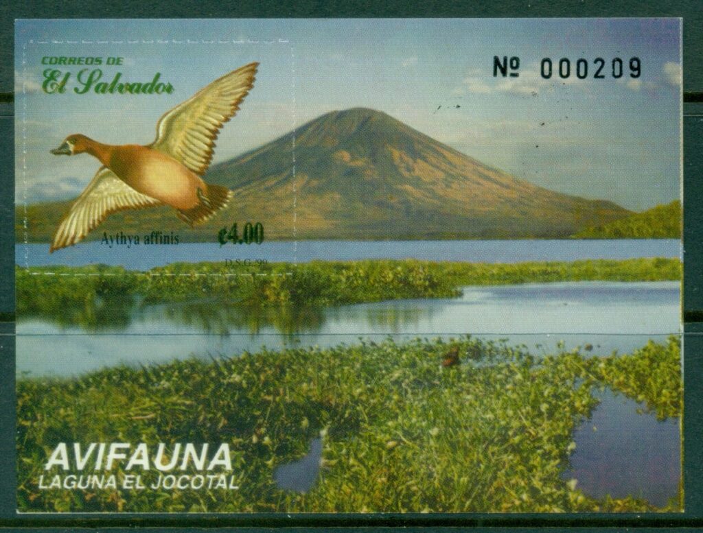 El-Salvador-1999-Water-Birds-MS-MUH