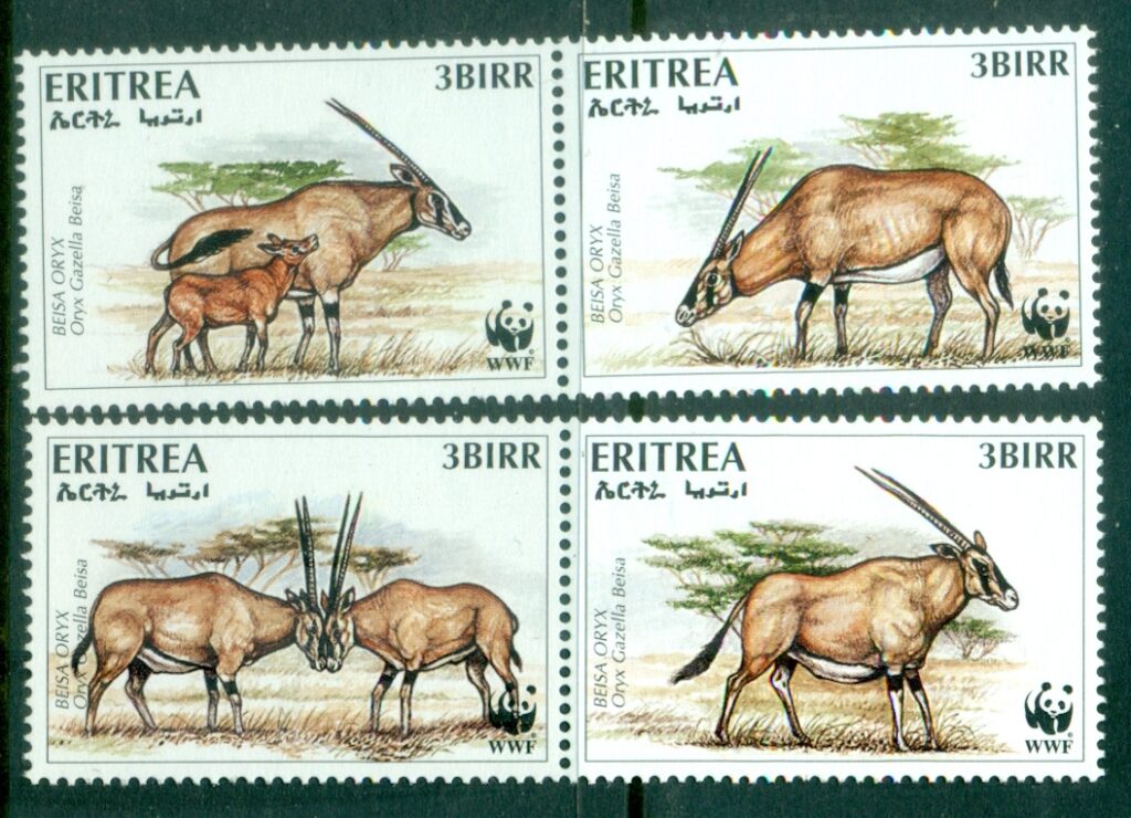Eritrea-1996-WWF-Beisa-Oryx-MUH_1