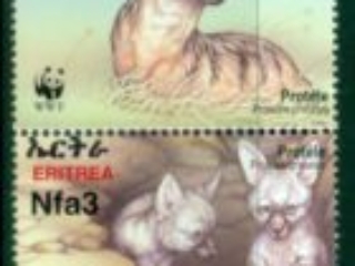 Eritrea-2001-WWF-Proteles-criststus-MUH