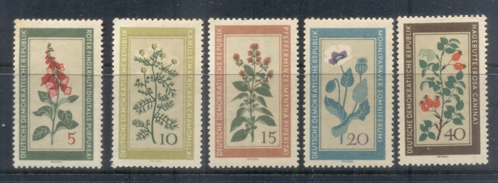 Germany-DDR-1960-Medicinal-Plants-MLH