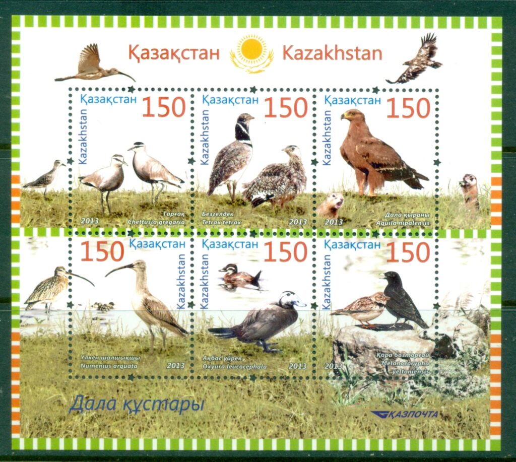 Kazakhstan-2013-Birds-of-the-Steppe-MS-MUH