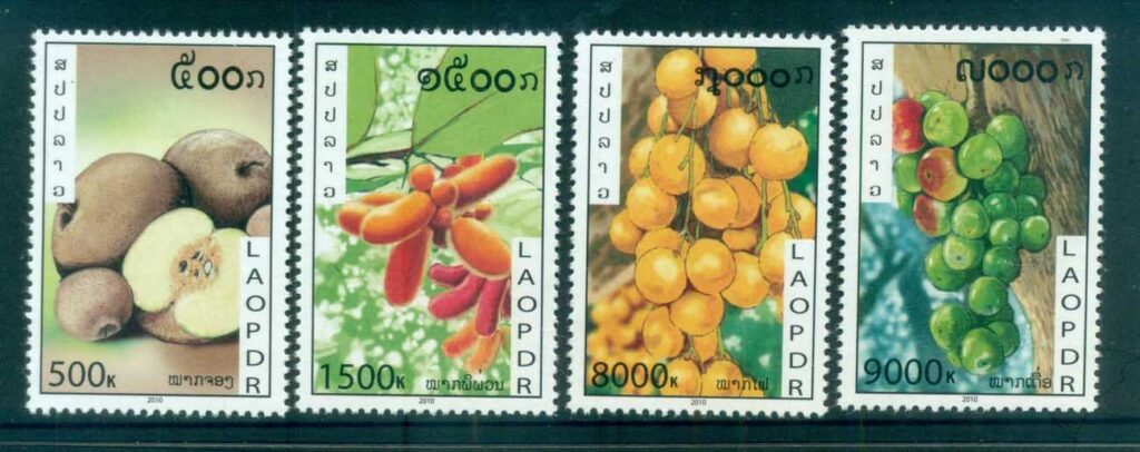Laos-2010-Fruit-MS-MUH-lot82410