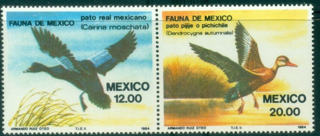 Mexico-1984-Birds-Mexican-Fauna-MUH