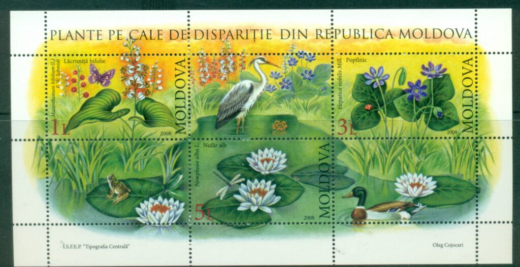 Moldova-2008-Plants-of-Moldova-Birds-MS-MUH