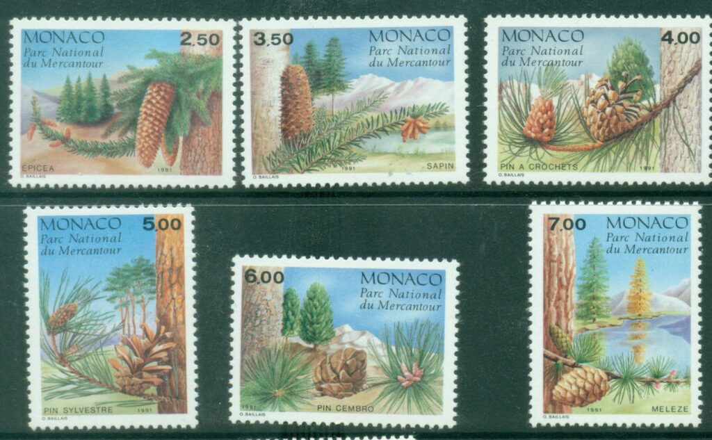 Monaco-1991-Conifers-in-Mercantour-National-Park-MUH