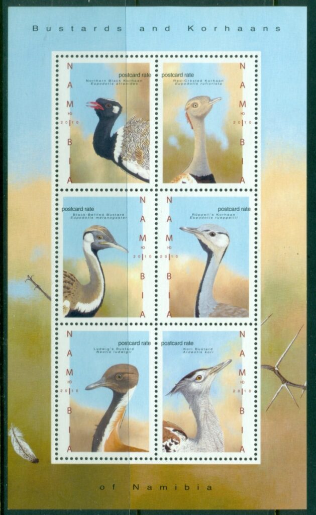 Namibia-1010-Birds-Bustards-MS-MUH