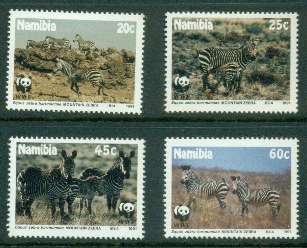 Namibia-1991-Mountain-Zebra-MLH