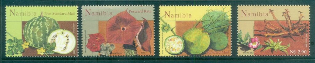 Namibia-2005-Medicinal-Plants-MUH