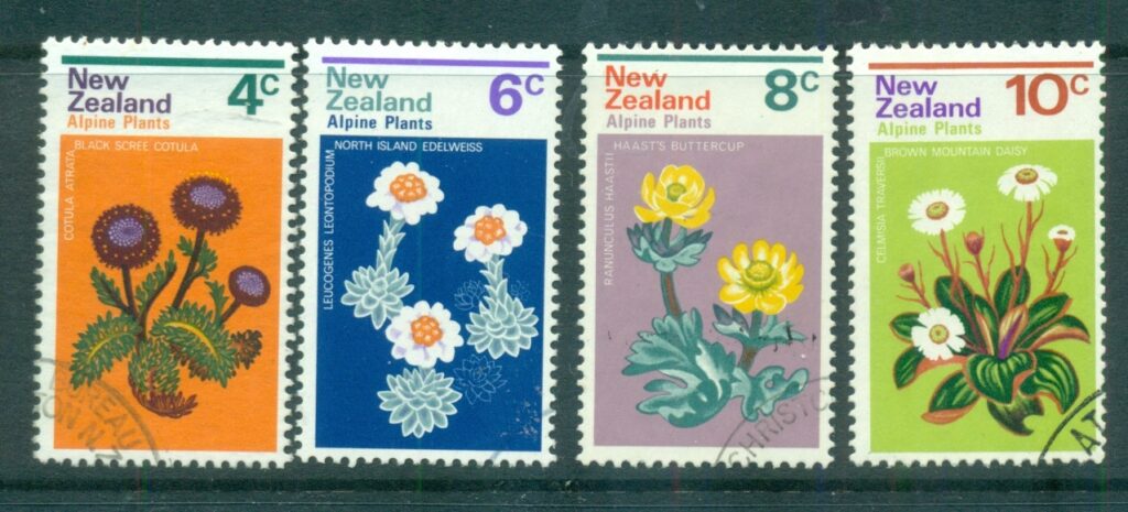 New-Zealand-1972-Alpine-Plants