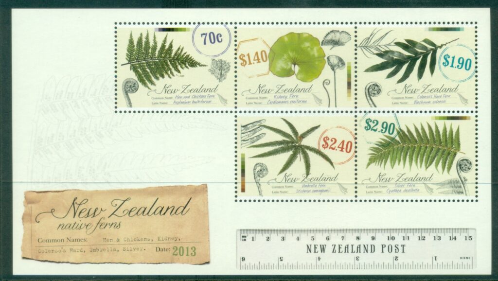 New-Zealand-2013-Native-Ferns-MS-MUH