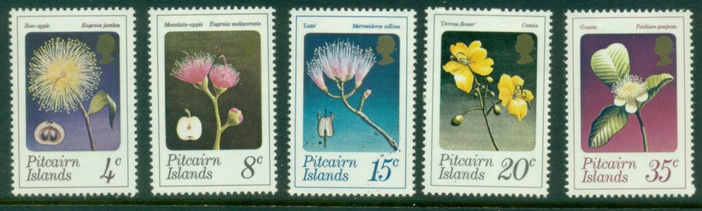 Pitcairn-Is-1973-Flowers-MLH