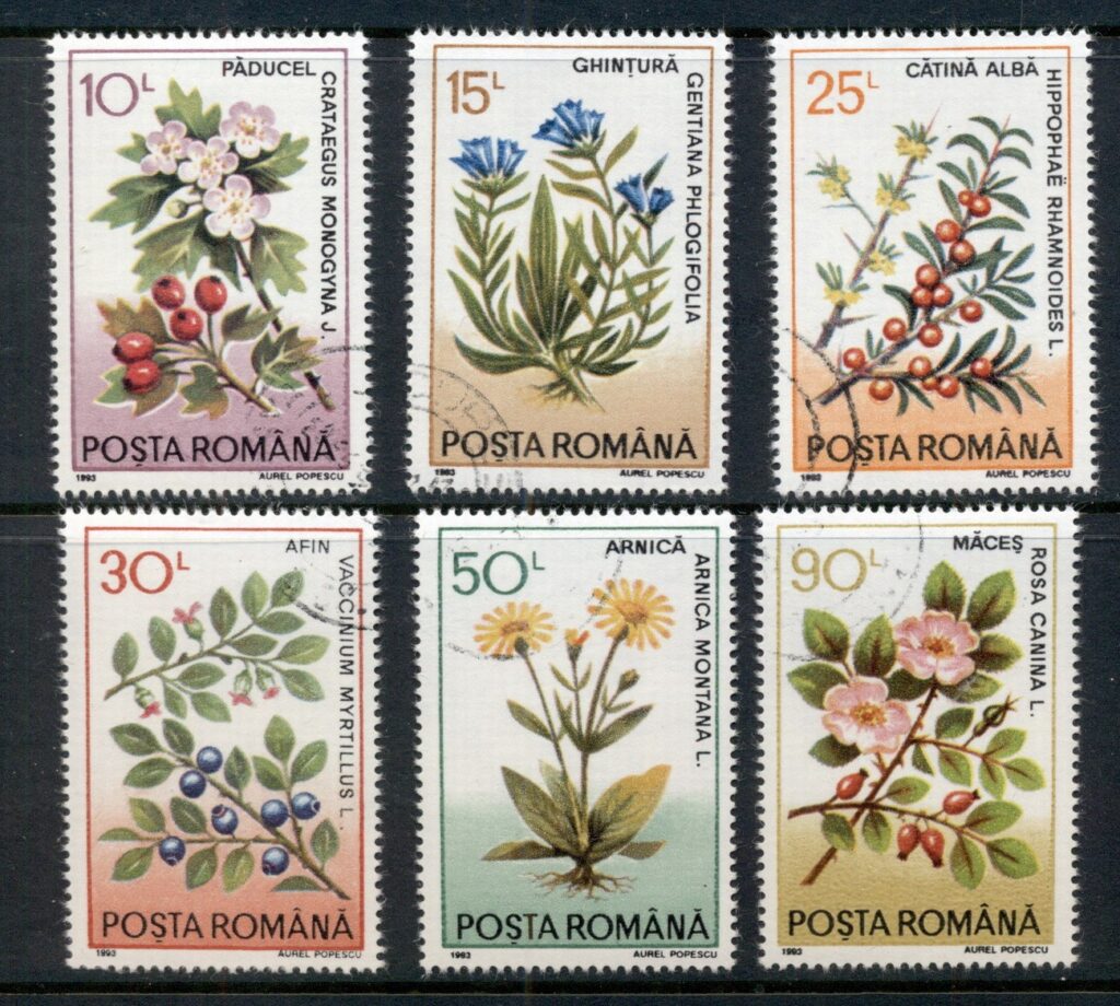 Romania-1993-Medicinal-Plants-CTO
