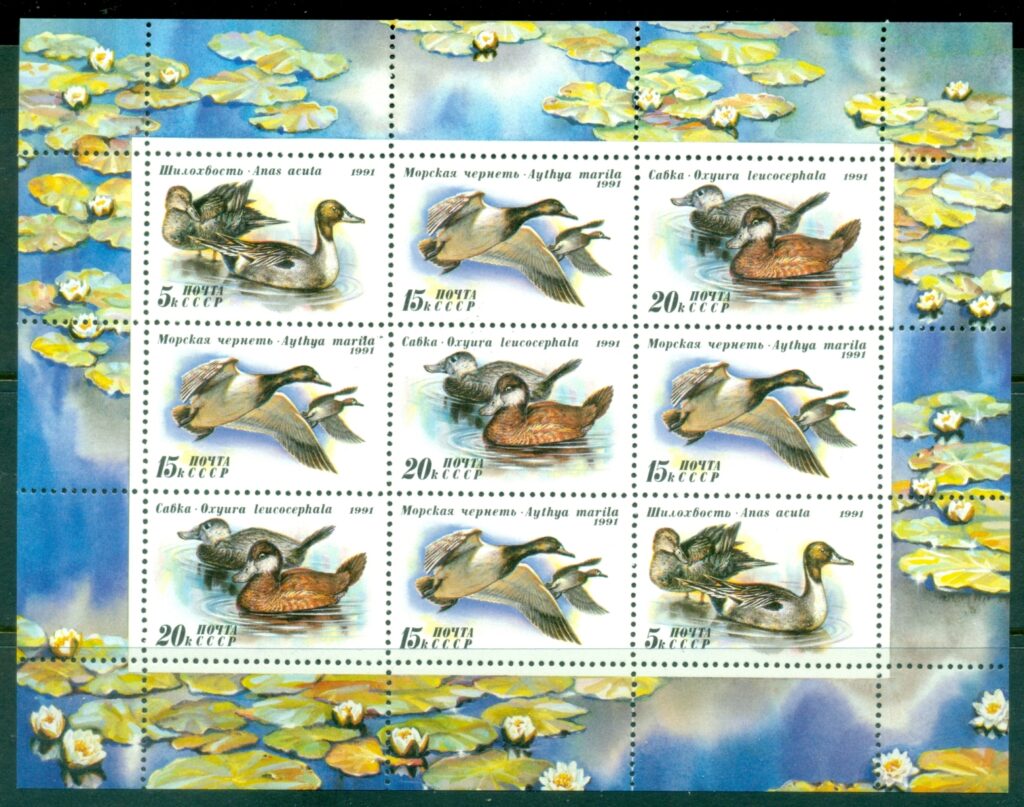 Russia-1991-Birds-Ducks-MS-MUH
