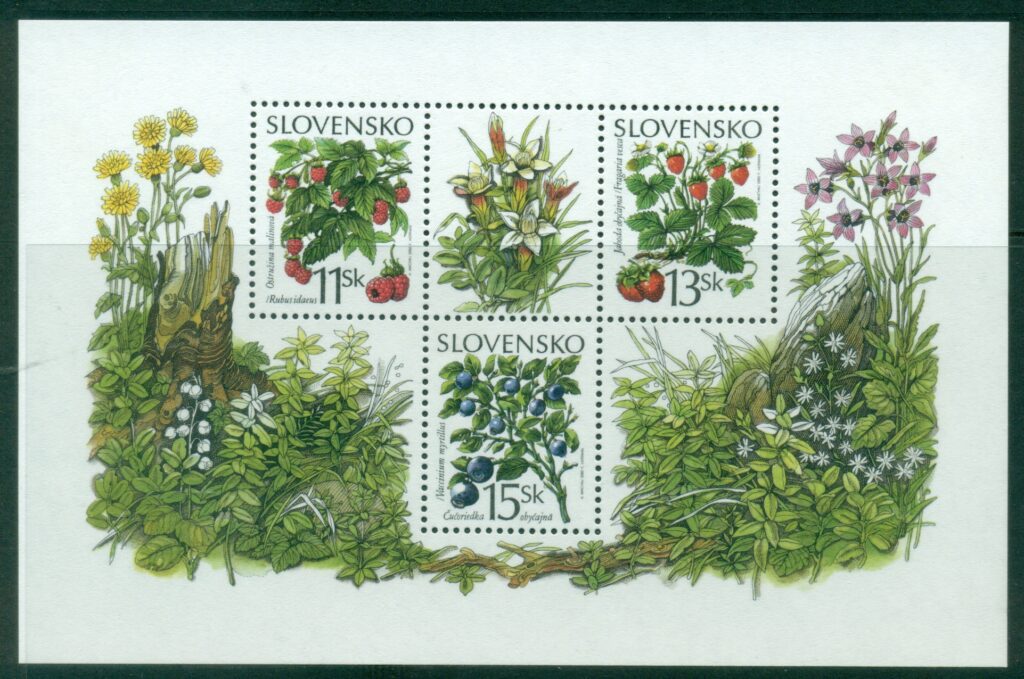 Slovakia-2000-Forest-Fruits-MS-MUH