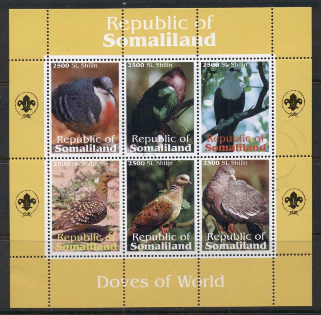 Somaliland-2010c-jpg-Birds.jpg