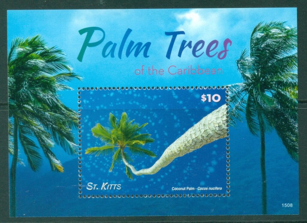 St-Kitts-2015-Palm-Trees-MS-MUH