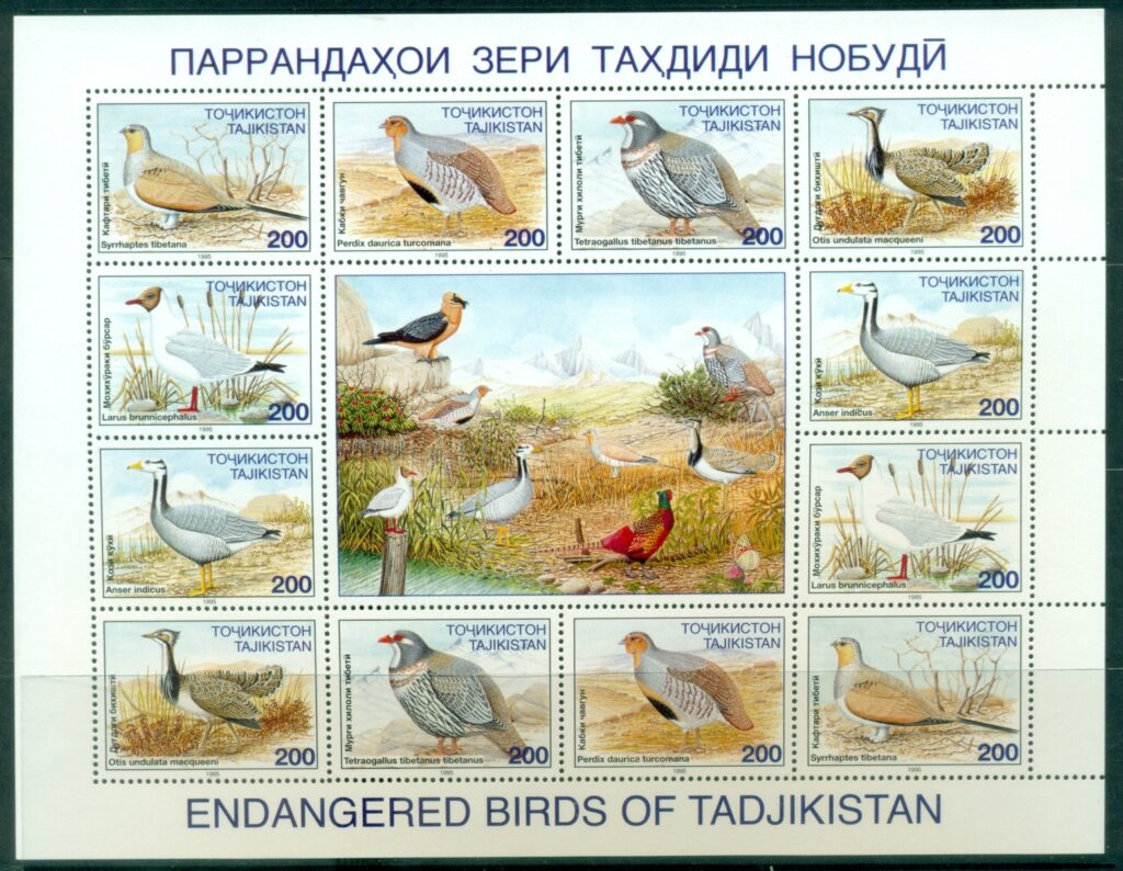Tajikistan-1996-Endangered-Birds-in-Tajikistan-MS-MUH-XL-Shipping