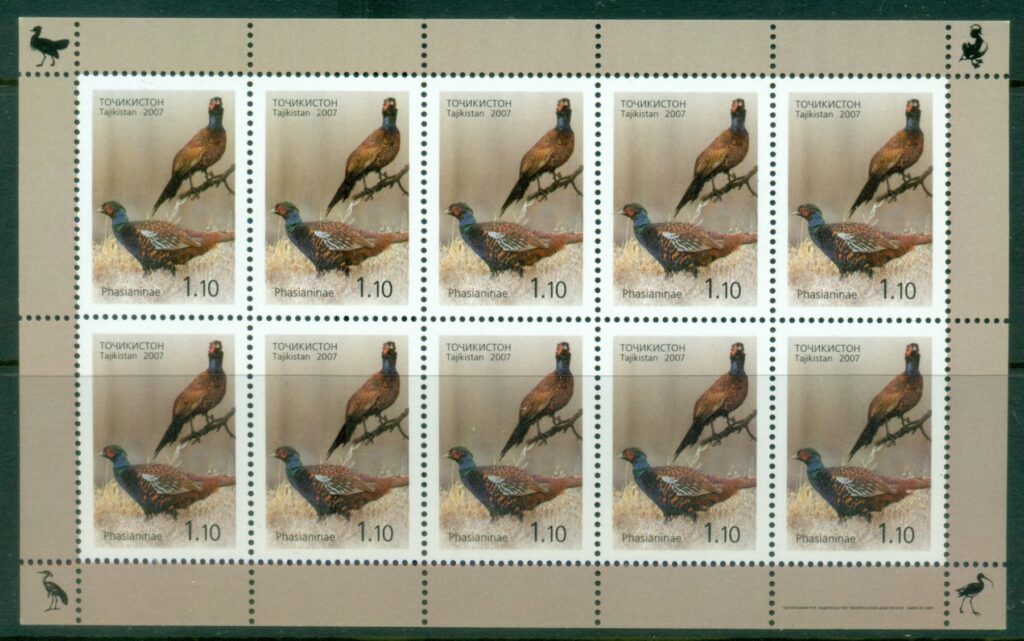 Tajikistan-2007-Birds-1