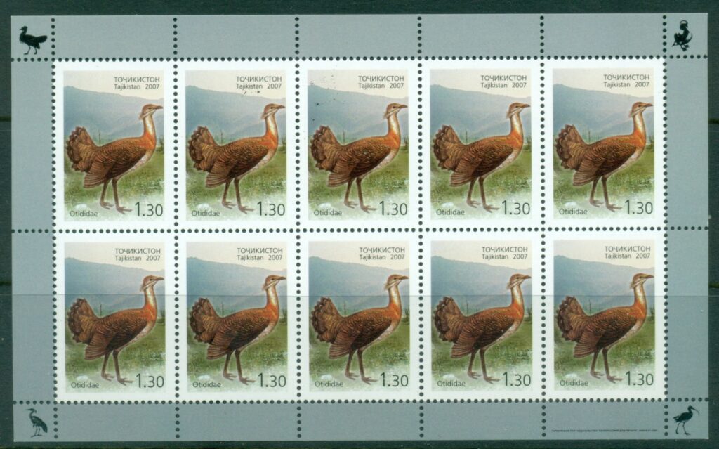 Tajikistan-2007-Birds-1_1