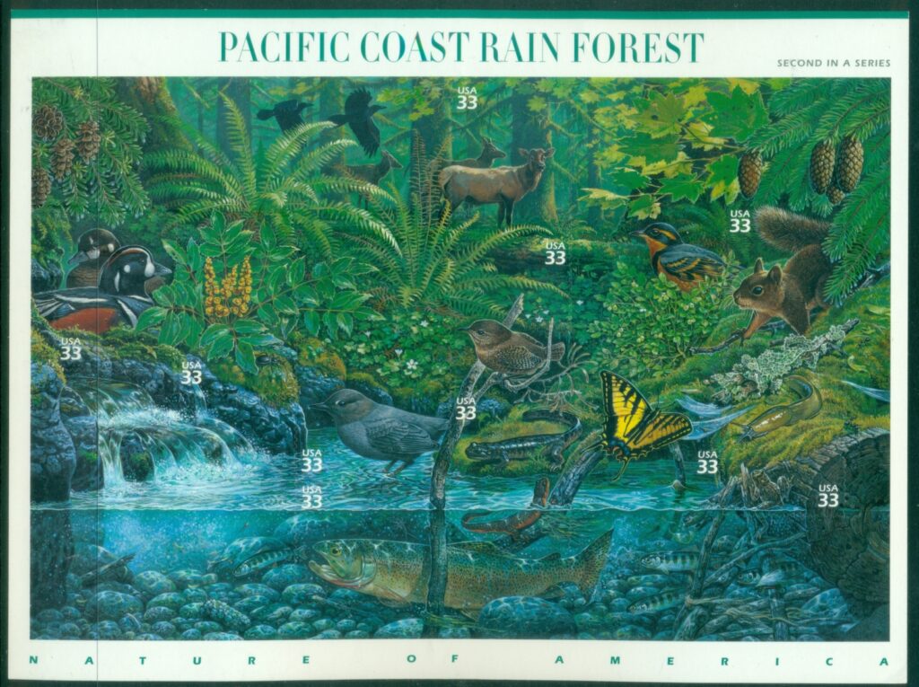 USA-2000-Nature-of-America-Pacific-Coast-Rainforest-Pane-MUH-XL-Shipping