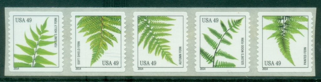 USA-2014-Flora-Ferns-coil-MUH.jpg